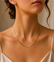 C25EAE72-0D90-4F94-87D3-A611BCDECFB6.webp